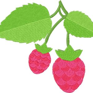 Raspberries Design, 7 sizes, Machine Embroidery Design, Raspberries shapes Design, Instant