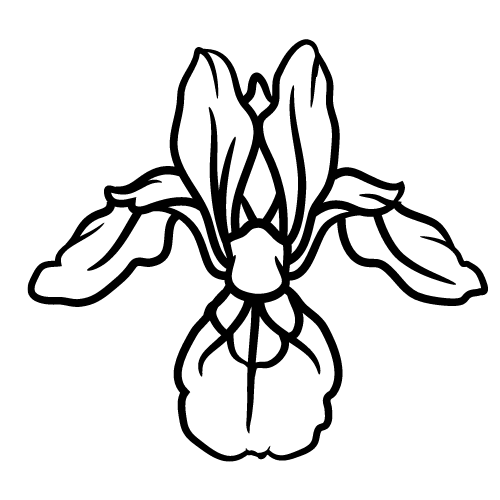 Iris Design, 7 sizes, Machine Embroidery Design, Iris shapes Design, Instant